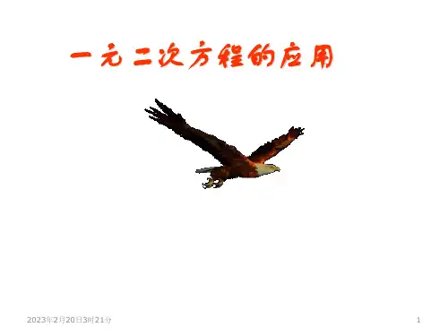 湘教版九年级数学上册精品教学课件 第二章 一元二次方程 一元二次方程应用：复率问题课件