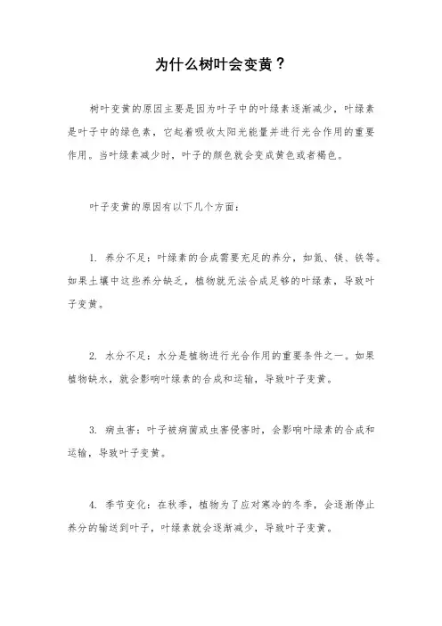 为什么树叶会变黄？