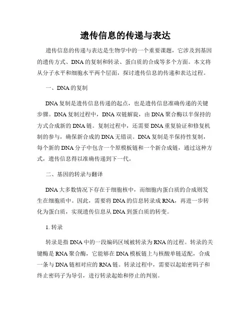 遗传信息的传递与表达