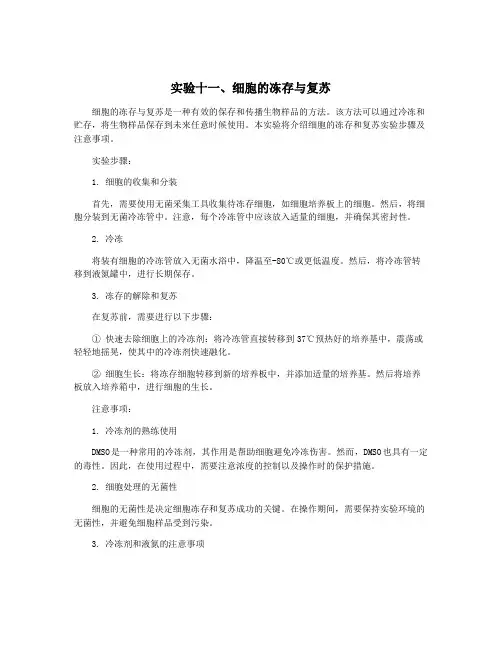 实验十一、细胞的冻存与复苏
