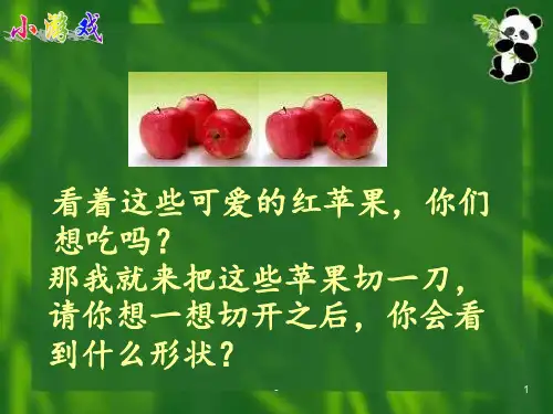 题西林壁PPT课件