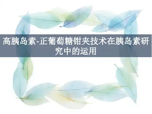 正葡萄糖钳夹技术在胰岛素研究中的运用