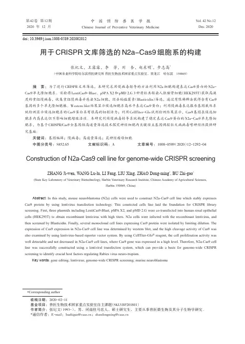 用于CRISPR文库筛选的N2a-Cas9细胞系的构建