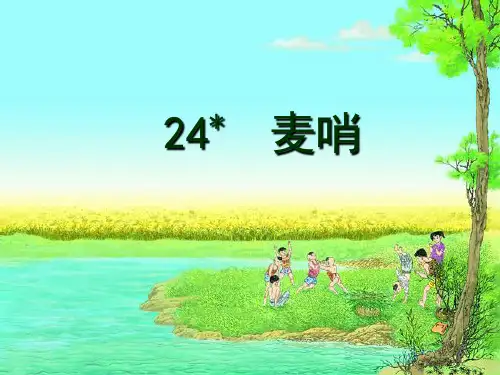 2016-2017小学语文四年级人教版下册精品课件：24 麦哨3(人教版)