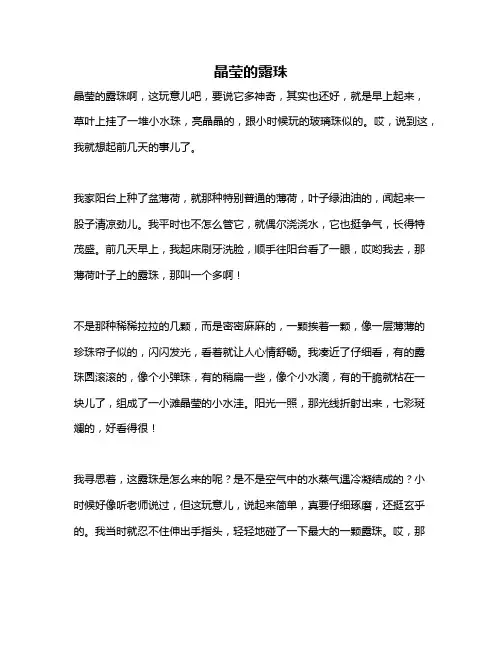 作文《晶莹的露珠》
