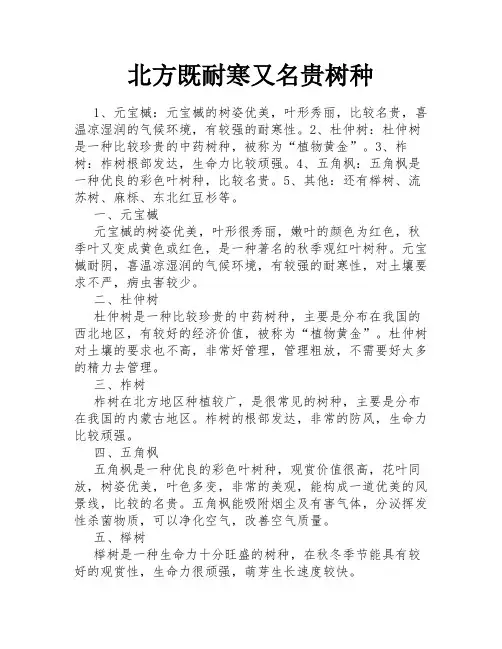 北方既耐寒又名贵树种