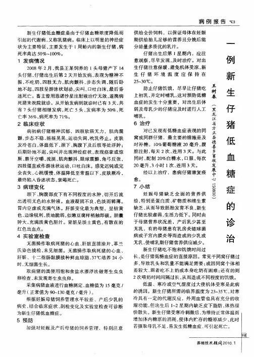 一例新生仔猪低血糖症的诊治