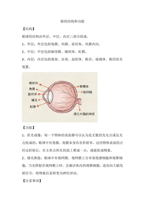眼的结构和功能