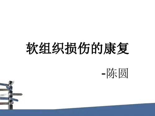 软组织损伤