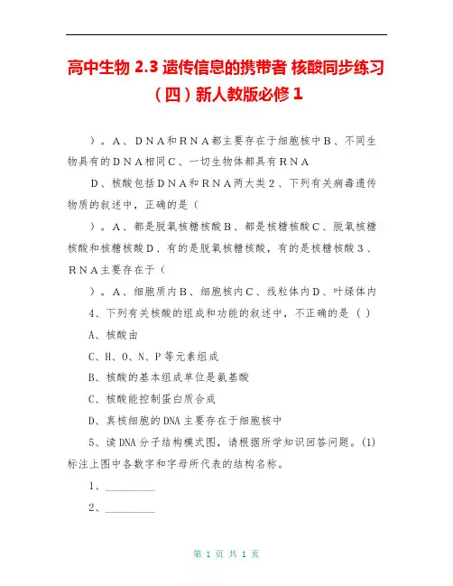 高中生物 2.3 遗传信息的携带者 核酸同步练习(四)新人教版必修1