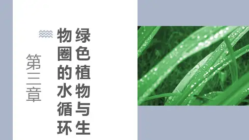 人教版七年级生物上册《绿色植物与生物圈的水循环》PPT优秀课件