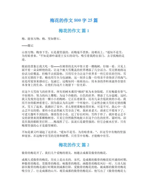梅花的作文800字25篇