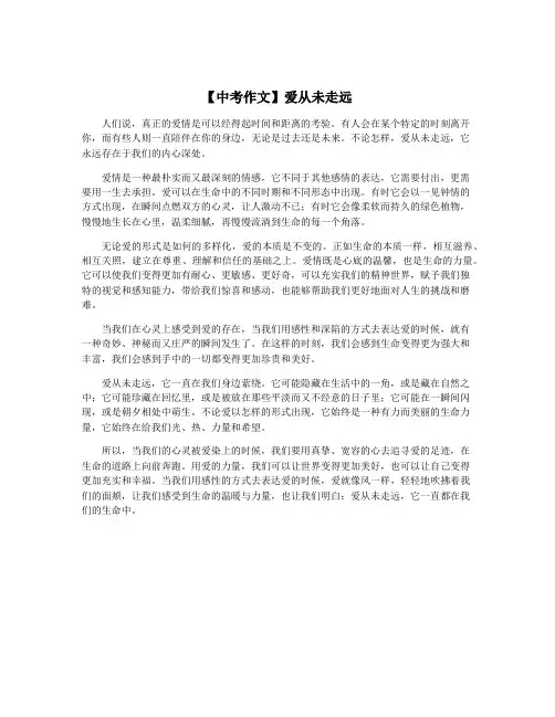 【中考作文】爱从未走远