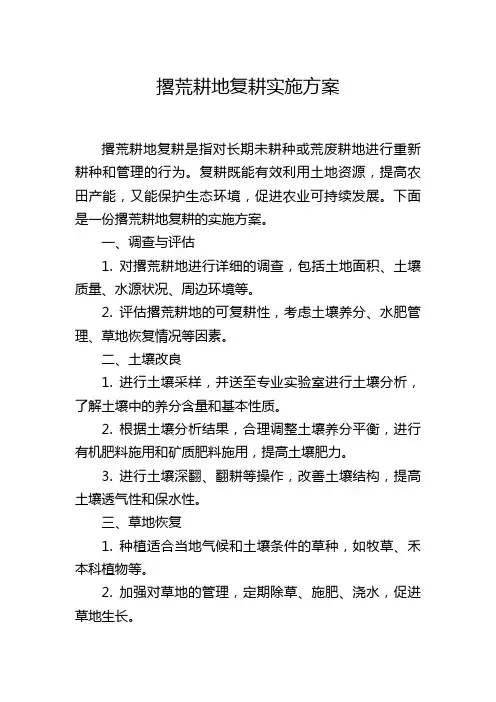 撂荒耕地复耕实施方案
