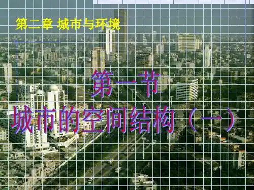 ]城市空间结构精品PPT课件