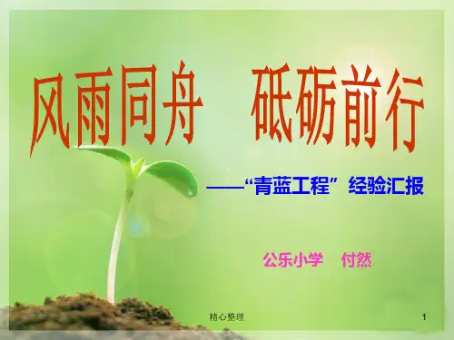 完整版青蓝工程课件.ppt