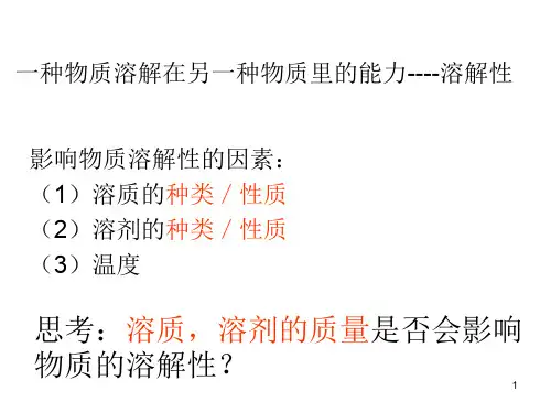 溶解度 PPT教学课件