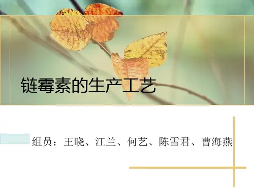 链霉素工艺流程设计.pptx