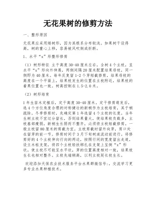 无花果树的修剪方法