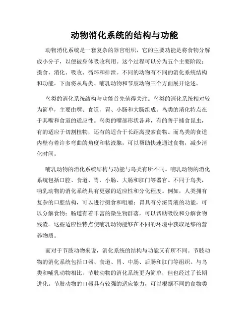 动物消化系统的结构与功能