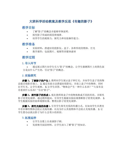 大班科学活动教案及教学反思《有趣的影子》