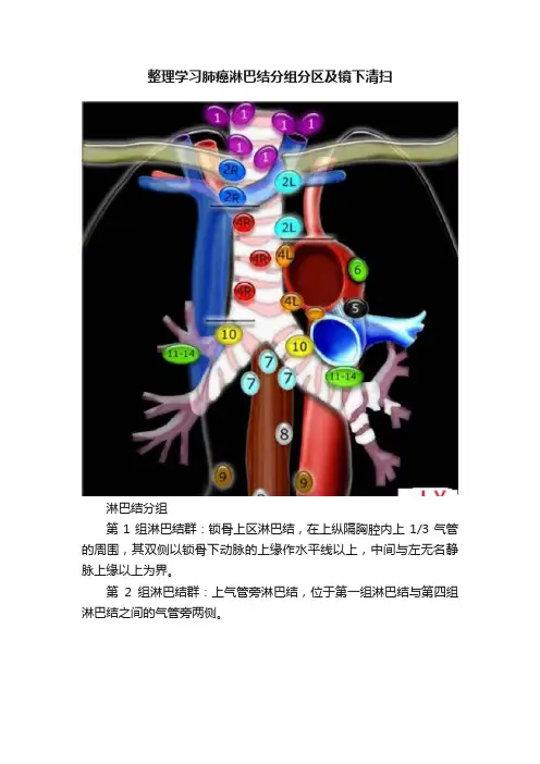 整理学习肺癌淋巴结分组分区及镜下清扫