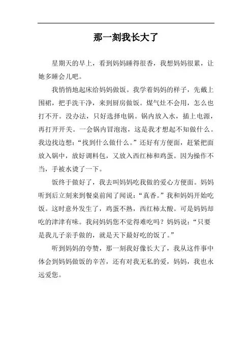 那一刻我长大了作文450字做饭给妈妈吃