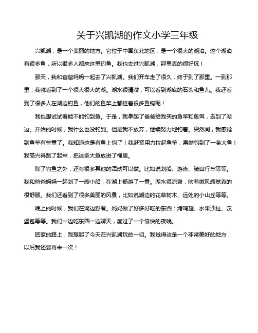 关于兴凯湖的作文小学三年级