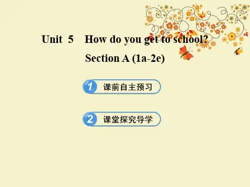 【优质课PPT】最新版六年级英语下册 Unit 5 How do you get to school Section A(1a-2e)课件 鲁教版五四制