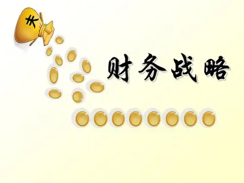 财务战略