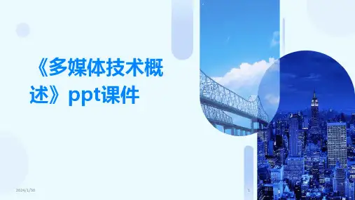 《多媒体技术概述》ppt课件(2024)