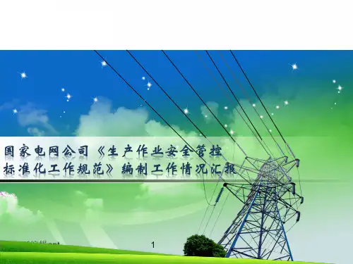国家电网公司《生产作业安全管控标准化工作规范》
