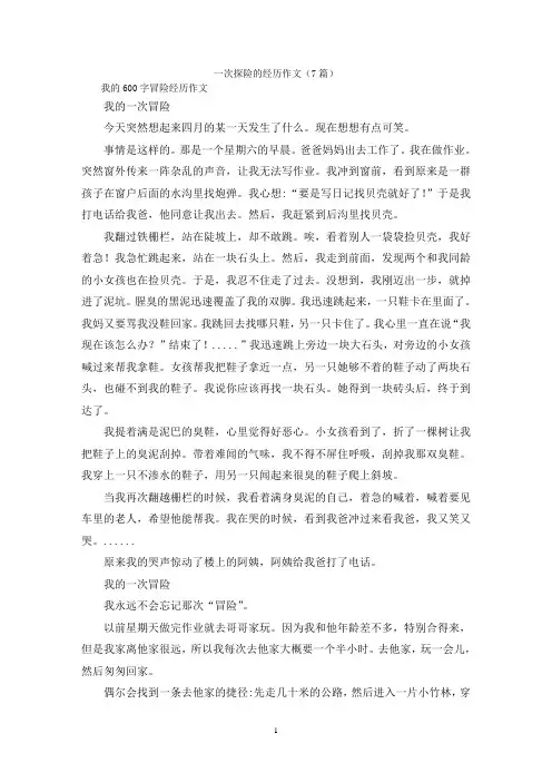 一次探险的经历作文(7篇)