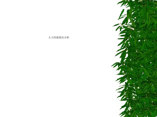 人力资源量化分析