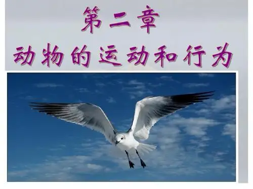 八年级上册人教版生物课件第二章第一节动物的运动 44张PPT