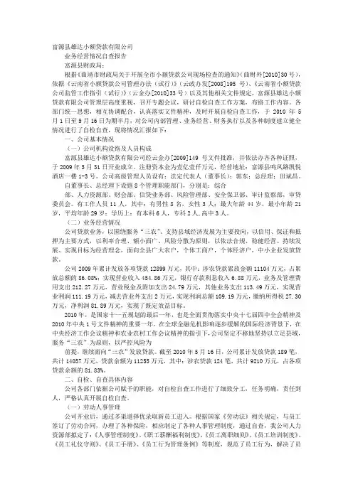 大额贷款自查报告