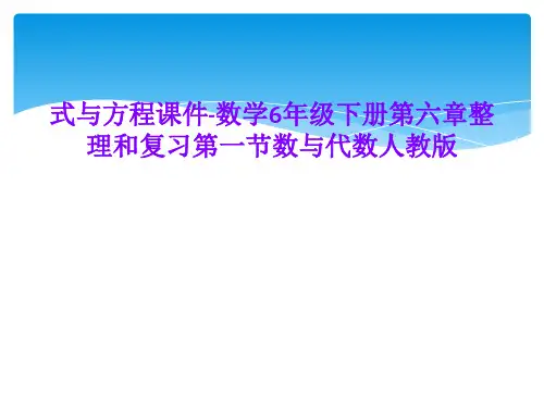 式与方程课件-数学6年级下册第六章整理和复习第一节数与代数人教版