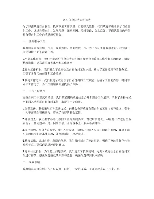 政府信息自查自纠报告