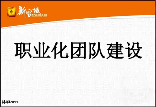 职业化团队建设