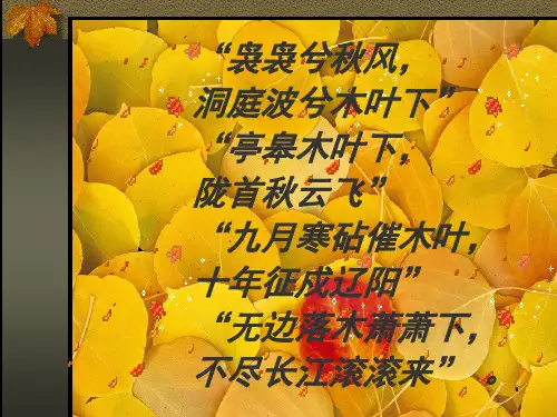 人教版必修五《说“木叶”》(共16张PPT)
