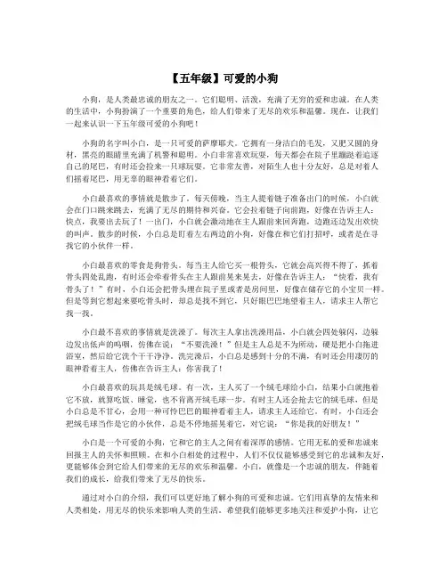 【五年级】可爱的小狗