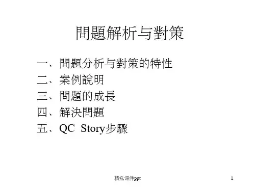 《问题解析与对策》PPT课件