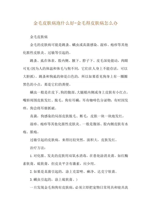 金毛皮肤病泡什么好-金毛得皮肤病怎么办