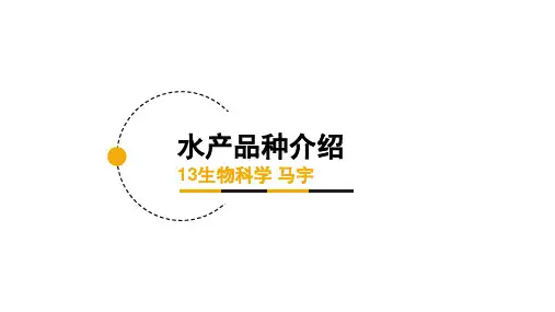 水产品种介绍