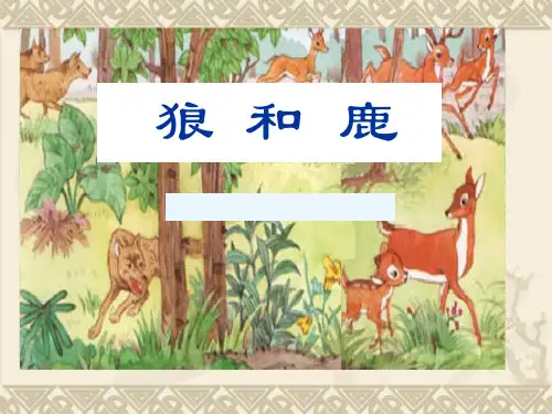 37页PPT课件《狼和鹿》