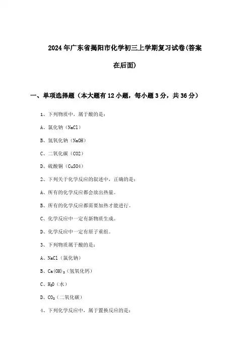 广东省揭阳市化学初三上学期试卷与参考答案(2024年)