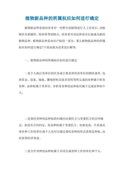 植物新品种的所属权应如何进行确定