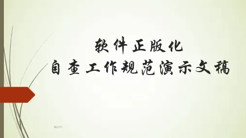 软件正版化自查工作规范