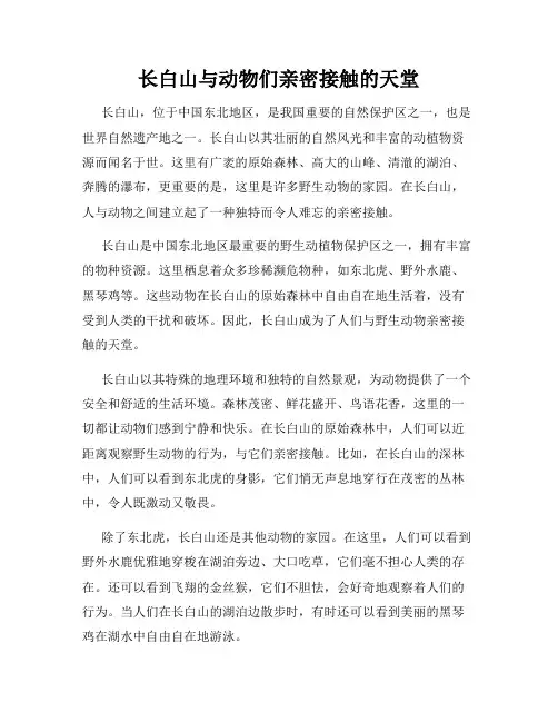 长白山与动物们亲密接触的天堂