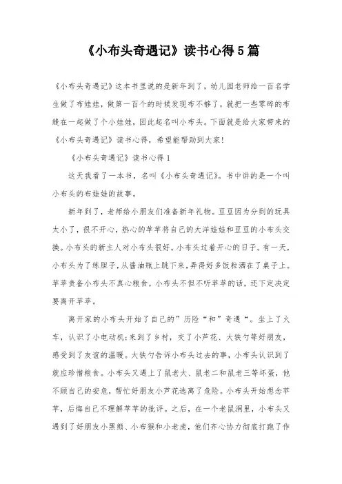 《小布头奇遇记》读书心得5篇